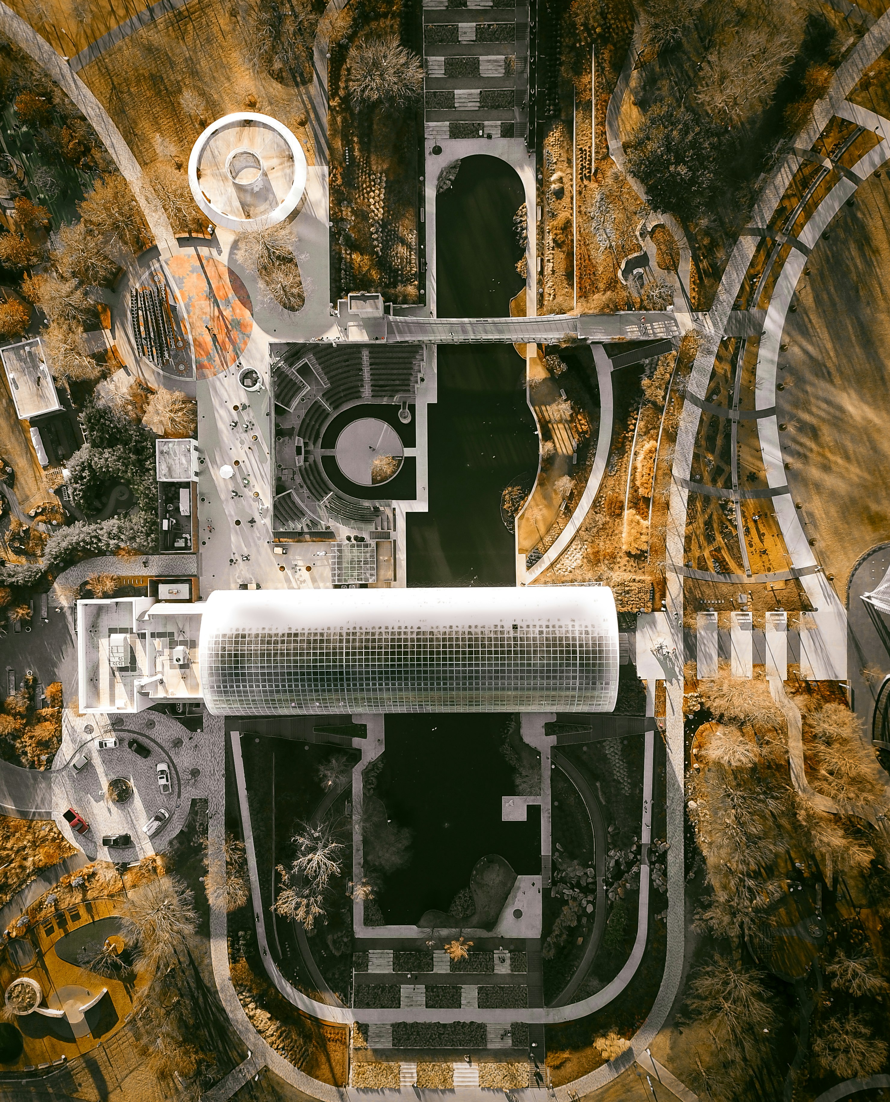 aerial photography of buildings surround by trees